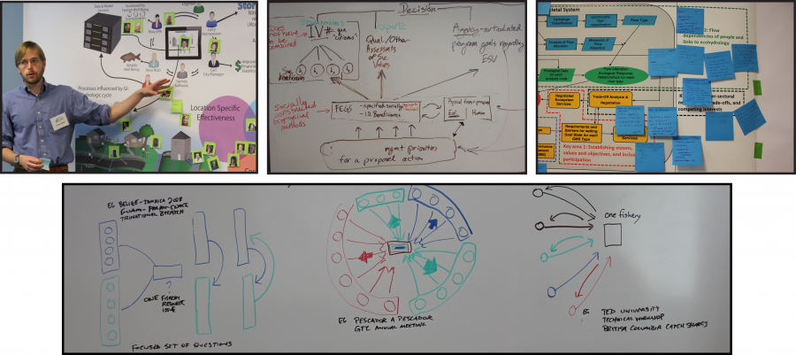 What Are Examples Of Mental Models